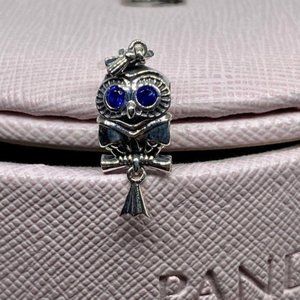 Wise Owl Graduation Charm